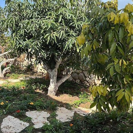 אחוזת היניבים Yaniv Estate Villa Nurit Kültér fotó