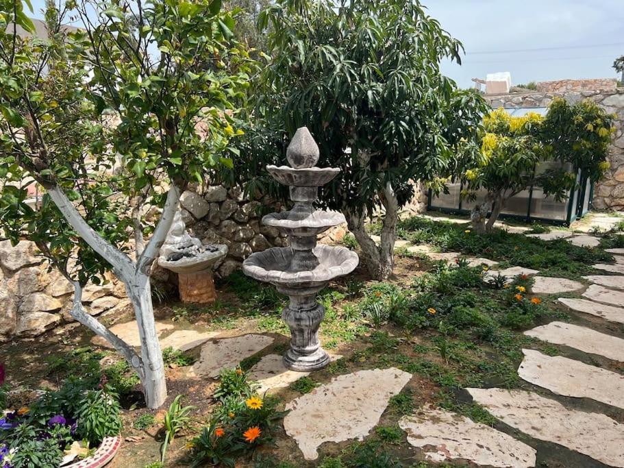 אחוזת היניבים Yaniv Estate Villa Nurit Kültér fotó