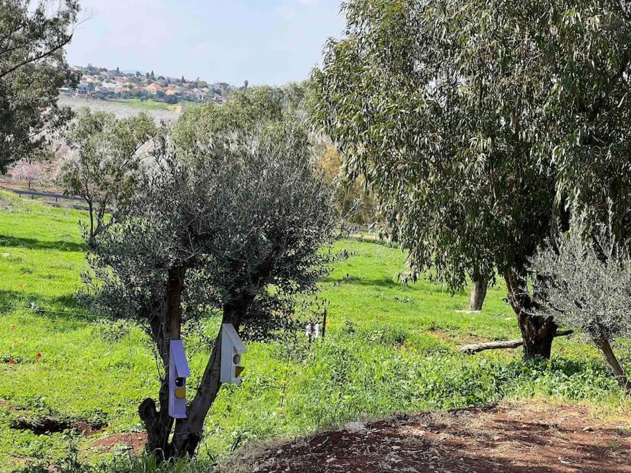 אחוזת היניבים Yaniv Estate Villa Nurit Kültér fotó