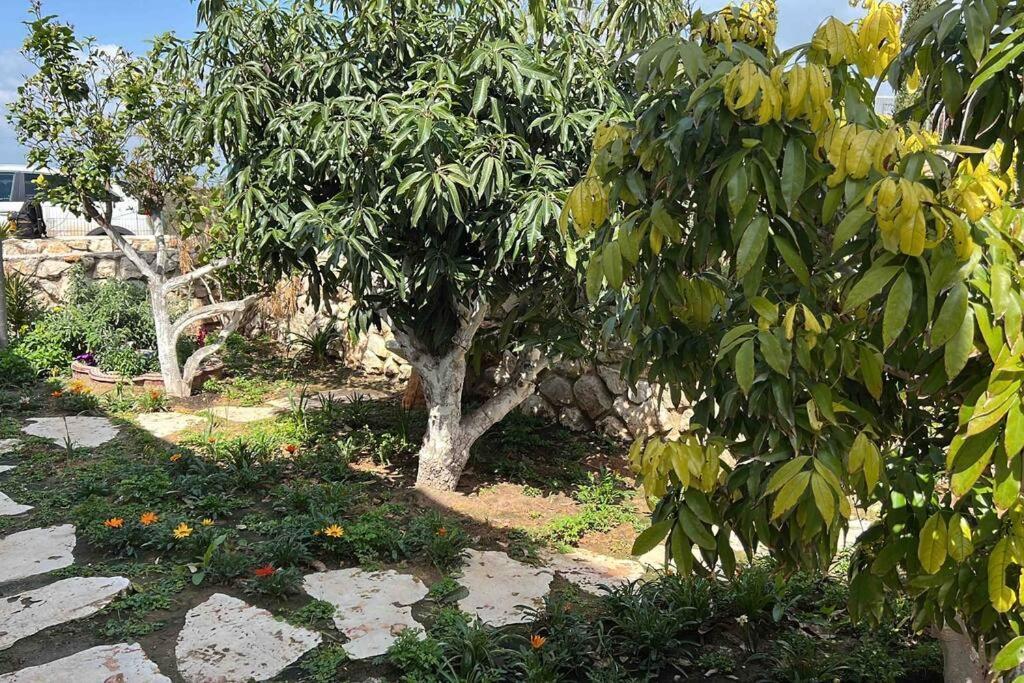 אחוזת היניבים Yaniv Estate Villa Nurit Kültér fotó