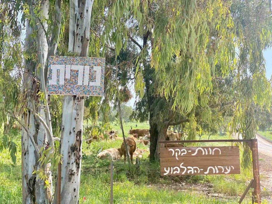 אחוזת היניבים Yaniv Estate Villa Nurit Kültér fotó
